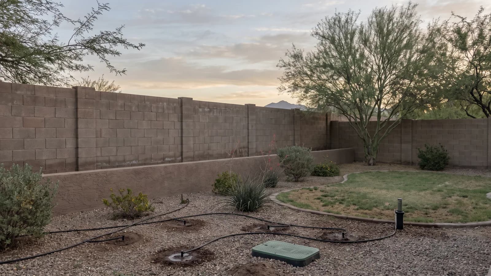 Drip emitters wetting gravel around desert shrubs and a rotor head at a turf edge in a Glendale backyard at dawn