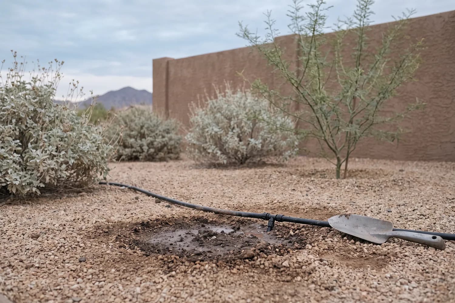 Small damp patch in desert gravel beside an exposed drip-line joint and a hand tool, with sage shrubs and a stucco wall behind